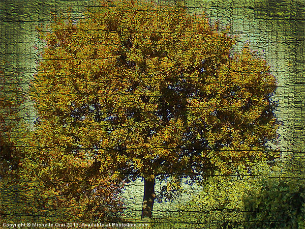 Ye Old Oak Tree Picture Board by Michelle Orai