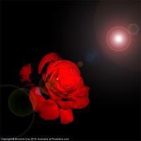 Buy canvas prints of Love is a Red, Red Rose by Michelle Orai
