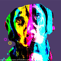 Buy canvas prints of Funky Lab by Michelle Orai