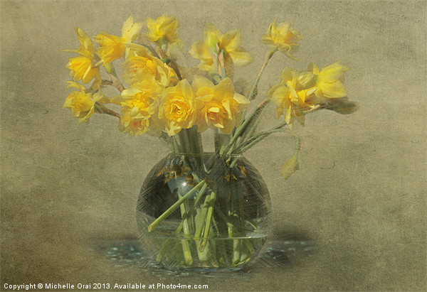 Springtime Daffodils Picture Board by Michelle Orai