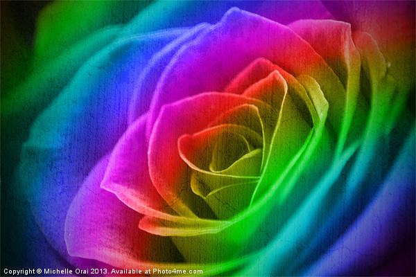Rainbow Rose Picture Board by Michelle Orai