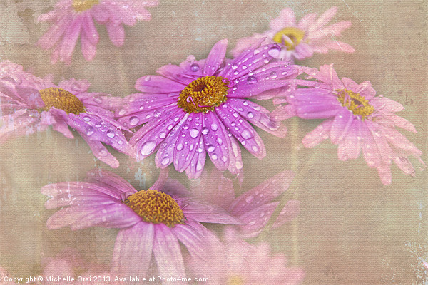 Daisy Droplets Picture Board by Michelle Orai