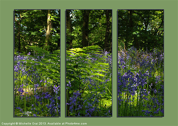 Bluebell Triptych 1 Picture Board by Michelle Orai