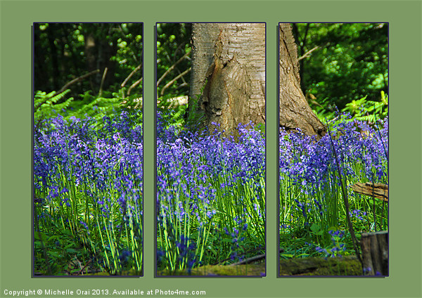 Bluebell Triptych 2 Picture Board by Michelle Orai
