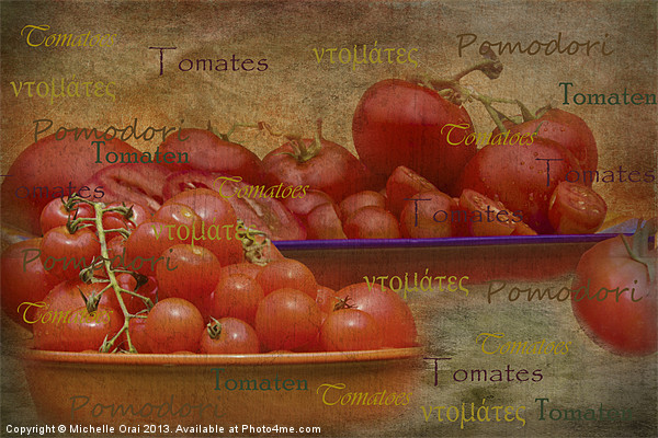 Tomatoes from around the World Picture Board by Michelle Orai