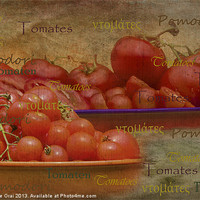 Buy canvas prints of Tomatoes from around the World by Michelle Orai