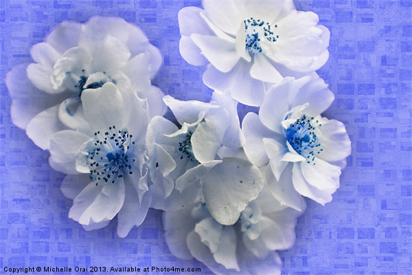 Blue Posy Picture Board by Michelle Orai