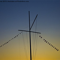 Buy canvas prints of The Mast by Michelle Orai