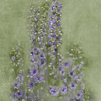 Buy canvas prints of Tall Purples by Michelle Orai