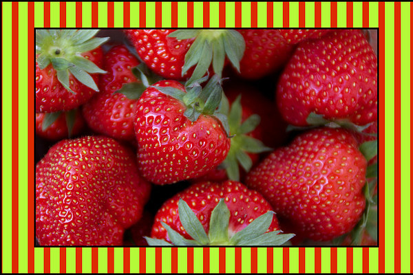 Candy Striped Strawberries Picture Board by Michelle Orai