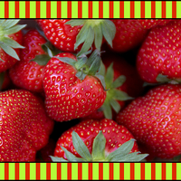 Buy canvas prints of Candy Striped Strawberries by Michelle Orai