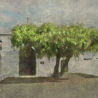 Buy canvas prints of Little White Church by Michelle Orai