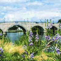 Buy canvas prints of Chertsey Bridge by Michelle Orai