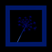 Buy canvas prints of Blue Weed on Black by Michelle Orai