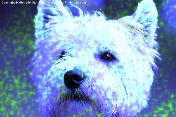  Totally Cool Westie Picture Board by Michelle Orai