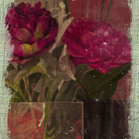 Buy canvas prints of  Peonies on Wood by Michelle Orai