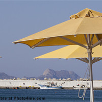 Buy canvas prints of Parasol by Rod Ohlsson