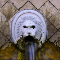 Buy canvas prints of Fountain head by Rod Ohlsson