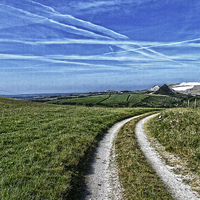 Buy canvas prints of Up on the downs by Rod Ohlsson