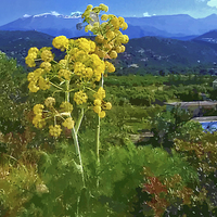 Buy canvas prints of Flower head Mountain peak. by Rod Ohlsson