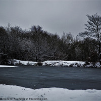 Buy canvas prints of On Frozen Pond by Ade Robbins
