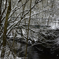 Buy canvas prints of Snowy Bridge by Ade Robbins