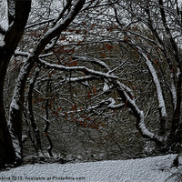 Buy canvas prints of Snowy Vortex by Ade Robbins