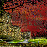 Buy canvas prints of Castle Grounds by Ade Robbins