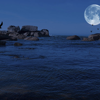 Buy canvas prints of Moonlight Over Brignogan Plage by Ade Robbins