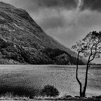 Buy canvas prints of Penmaen-Brith by Oriel Forest