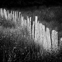 Buy canvas prints of Slate Fence by Oriel Forest