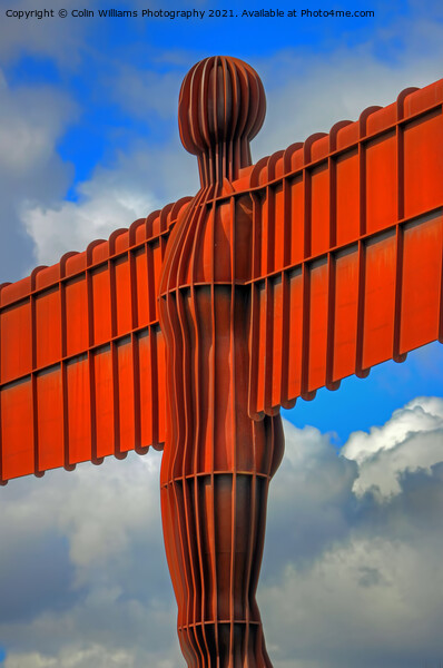 The Angel of the North 9 Picture Board by Colin Williams Photography