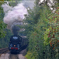 Buy canvas prints of The Scarborough Spa Express Leaving York 1 by Colin Williams Photography