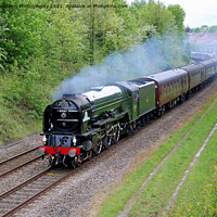 Buy canvas prints of Tornado 60163 With The Pennine Explorer 2 by Colin Williams Photography