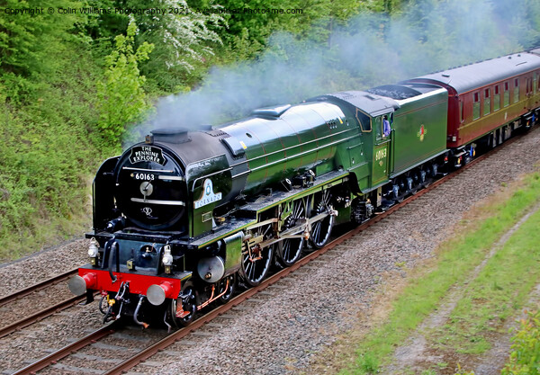 Tornado 60163 With The Pennine Explorer 3 Picture Board by Colin Williams Photography