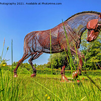Buy canvas prints of The Featherstone War Horse - 6 by Colin Williams Photography