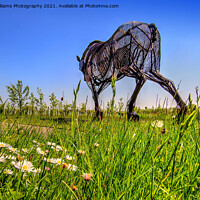 Buy canvas prints of The Featherstone War Horse - 7 by Colin Williams Photography