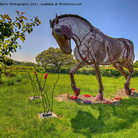 Buy canvas prints of The Featherstone War Horse - 8 by Colin Williams Photography