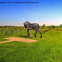 Buy canvas prints of The Featherstone War Horse - 9 by Colin Williams Photography