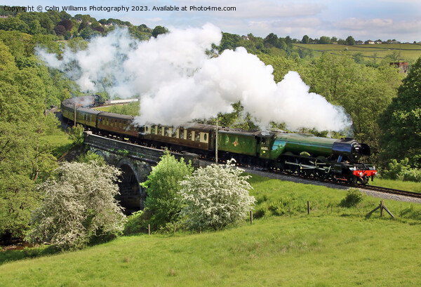  Flying Scotsman 60103 Centenary KWVR - 1 Picture Board by Colin Williams Photography