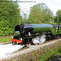 Buy canvas prints of Flying Scotsman 60103 Centenary KWVR - 3 by Colin Williams Photography