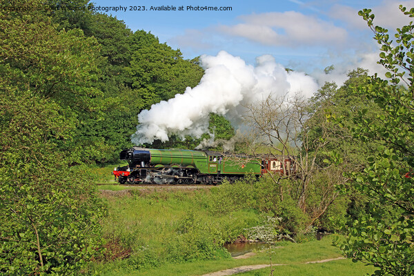 Flying Scotsman 60103 Centenary KWVR - 5 Picture Board by Colin Williams Photography
