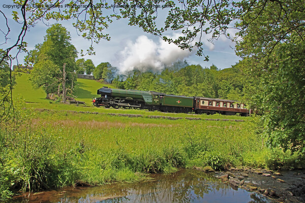 Flying Scotsman 60103 Centenary KWVR - 6 Picture Board by Colin Williams Photography