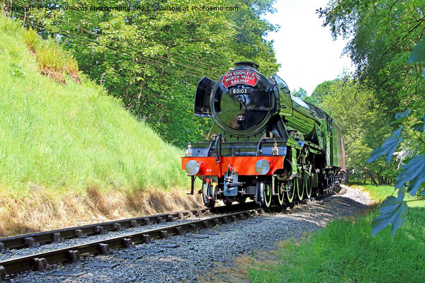 Flying Scotsman 60103 Centenary KWVR - 9 Picture Board by Colin Williams Photography