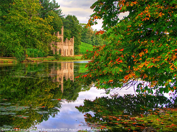 Painshill Park - Autumn Reflections Picture Board by Colin Williams Photography
