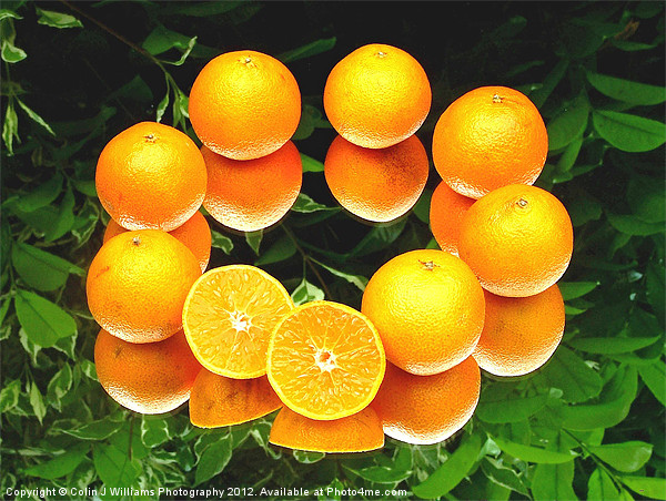 O is for Orange Picture Board by Colin Williams Photography