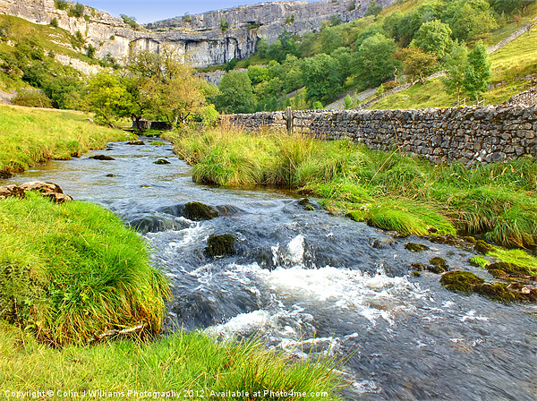 Valley Below Malham  Cove Picture Board by Colin Williams Photography