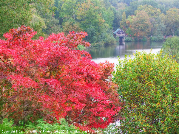 The Boathouse At Winkworth Arboretum Picture Board by Colin Williams Photography