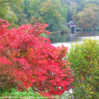 Buy canvas prints of The Boathouse At Winkworth Arboretum by Colin Williams Photography