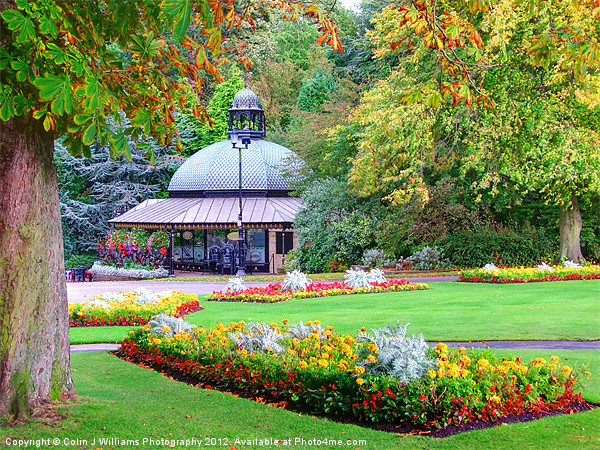 The Valley Gardens - Harrogate Picture Board by Colin Williams Photography